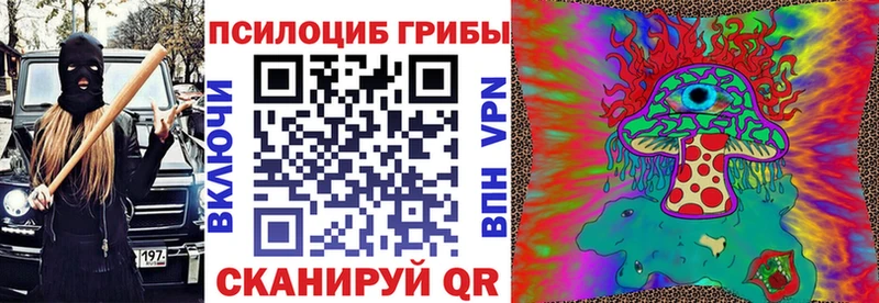 Купить где  Боровичи  Псилоцибиновые грибы Psilocybine cubensis 